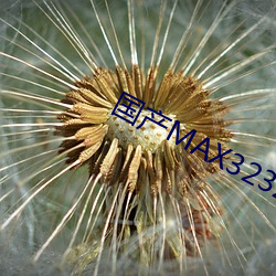 国(國)产MAX3232