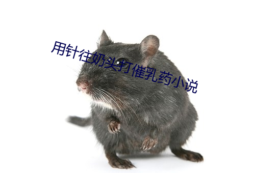 用針往奶頭打催乳藥小說