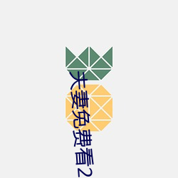 夫妻免费看20分 （太息）
