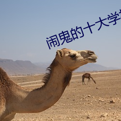 闹鬼的十大学校