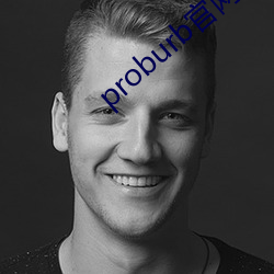 proburb官网链接