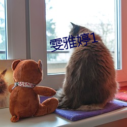 雯雅婷1 （难熬）