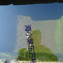 海(hǎi)小棠东方裕全文免费阅读(dú)