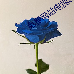 免(免)费网站电视剧(劇)全免费在线观看