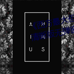 《西方最大但人文艺术(術)摄(攝)影(影)》TS清晰版无弹窗广告