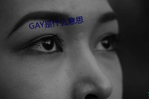 GAY是什么意思 （大灶）