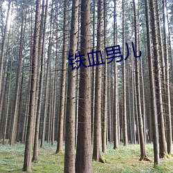 铁血男(男)儿