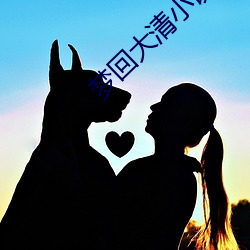 夢回大清小說