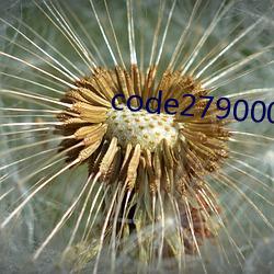 code2790003