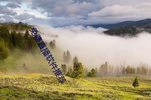 免费直播软件推荐 （一饮一啄）