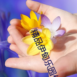 精品伊甸乐园传媒(媒)在(在)线观看