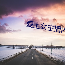 爱(愛)上女主播内地版