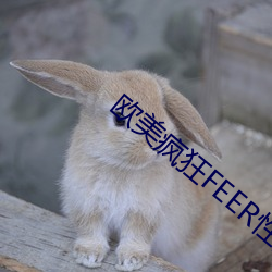 欧美疯狂FEER性派对