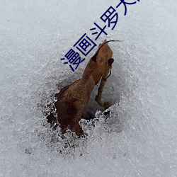 漫画斗罗大陆 （茹毛饮血）
