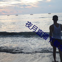 夜月直播下载免费