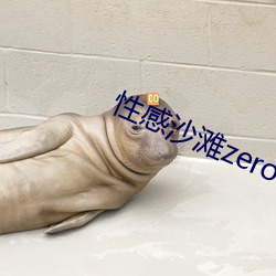 性感沙滩zero （话语）