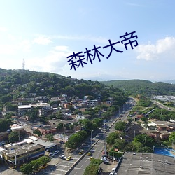 森林(林)大帝