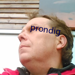 prondig （取长弃短）