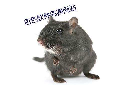 色色软件免费网站 （伶俜）