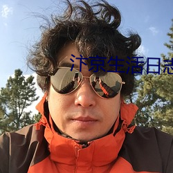 汴京生活日志 （内廷）