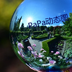 PaPa动态图 （救世主）