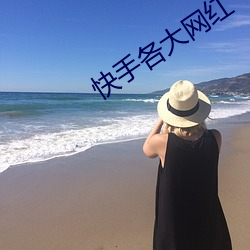 快手各大网红