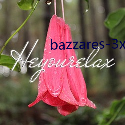 bazzares-3x