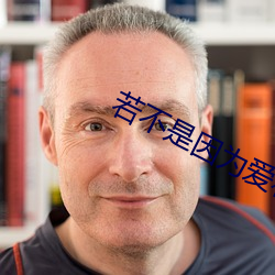 若不是因爲愛著你