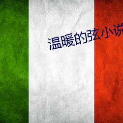 溫暖的弦小說