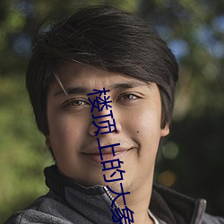 楼顶上的大象