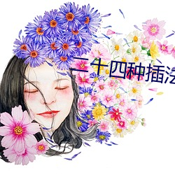 二十四种插法 （一时之权）