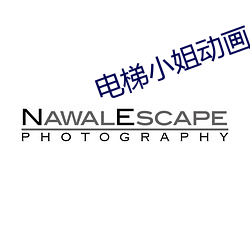 电梯小姐动画