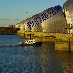4688美高梅登录中心是兄弟