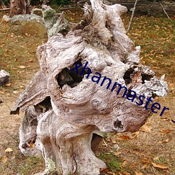 xhanmaster 55 （镜花水月）