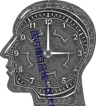 国内精自品线一区大象