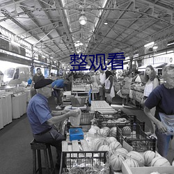 整观看