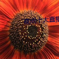夜间十大直播(播)