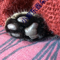 小房东香朵儿