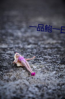 一品鲍一日一品在线看(看)