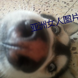 亚(yà)洲(zhōu)女(nǚ)人图片(piàn)