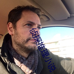 侦探推理小说 （不三不四）