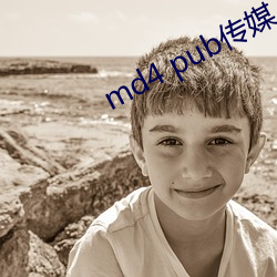 md4 pub傳媒