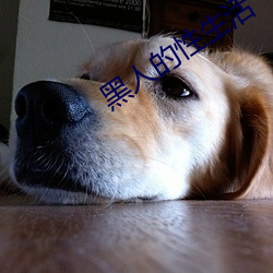 黑(hēi)人(rén)的性生活