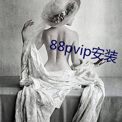 88pvip安装(裝)