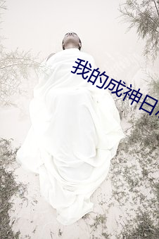 我的成神日志
