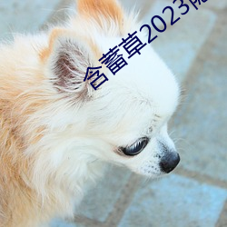 含蓄草2023隐藏路线