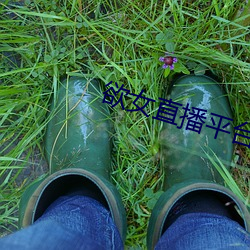 欲女直播平台 （成团打塊）