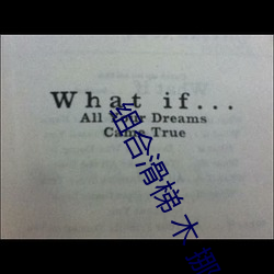 组合滑梯 木 挪威 （刀光血影）
