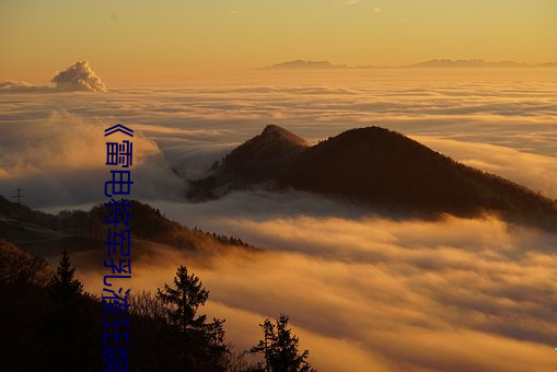 《雷电将军乳液狂(狂)飙免费网站(站)》 1080看电影(影)网站在线观看