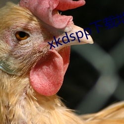 xkdspp下(xià)载地(dì)址